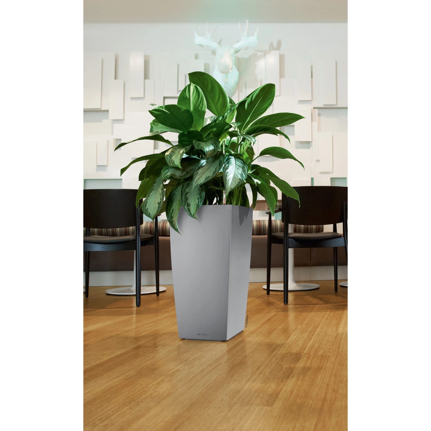 Lechuza Jardinière Cubico Color 40