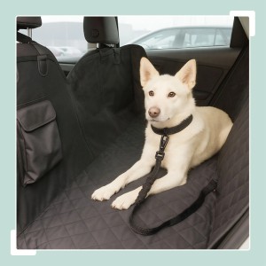 Hund mit Relaxdays Hundegurt im Auto auf schwarzer Hundeautositz-Decke.