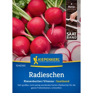Kiepenkerl Radieschen Vitessa Saatband: Leuchtend rote, runde Radieschen auf der Saatband-Verpackung.