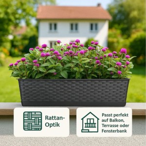 Anthrazitfarbener Blumenkasten mit Untersetzer, 80 cm, mit pinkfarbenen Blumen.