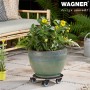 Schwarzer Wagner Pflanzenroller GH 0629 mit Pflanze auf Terrasse. Rolluntersetzer Ø 30 cm.