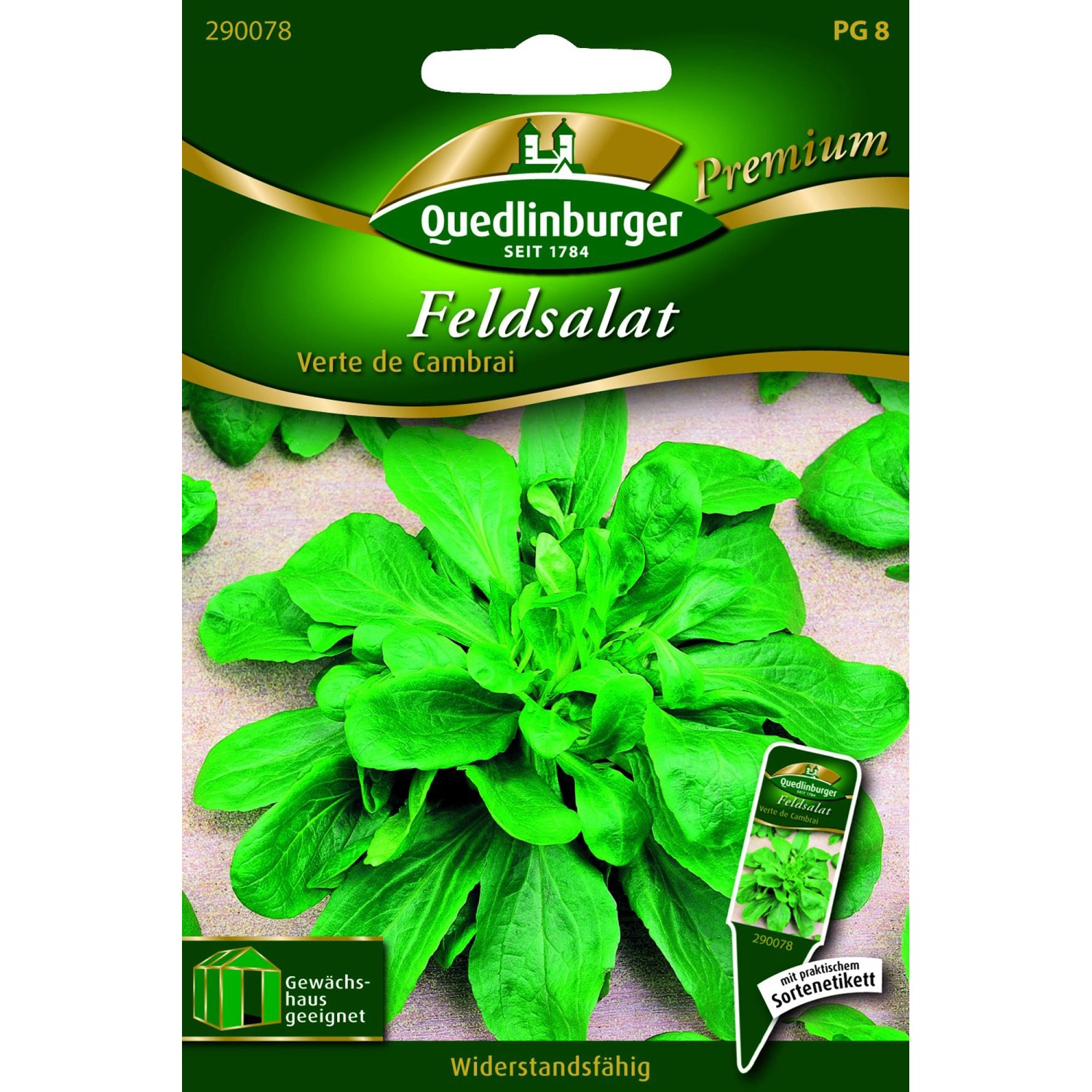 Quedlinburger Feld Salat ''Verte de Cambrai'' günstig online kaufen