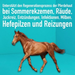 GreenHero Pferdepflege: Braunes Pferd vor blauem Hintergrund mit Text zu Hautproblemen.