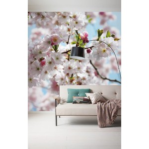 Komar Vlies Fototapete Spring (300x250 cm) mit Kirschblüten-Motiv im Wohnraum.