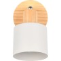 Trio Strahler Shanti in Warm-Grey mit Holzelementen, einflammiger Deckenspot für Wand- oder Deckenmontage.