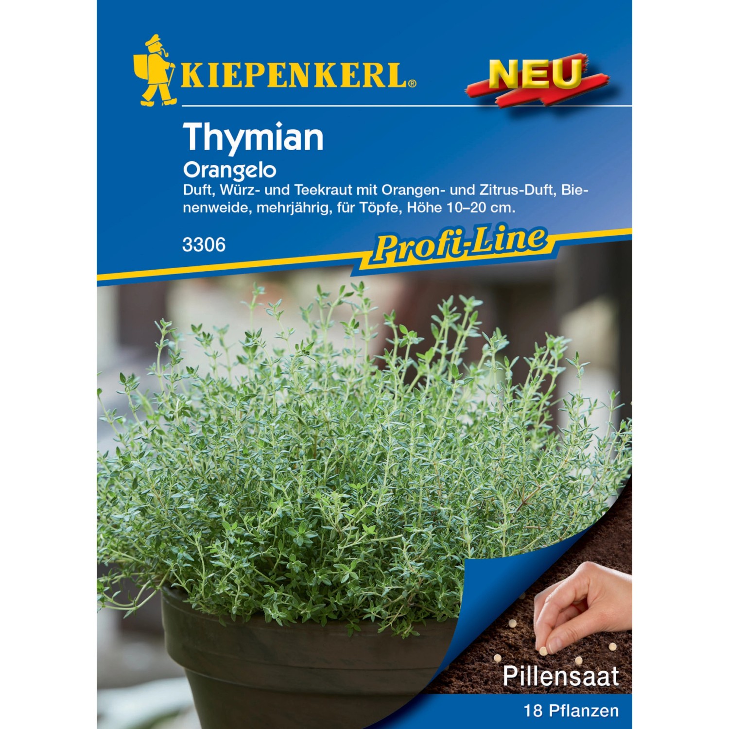 Kiepenkerl Profi-Line Thymian Orangelo Pillensaat