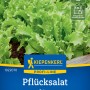 Kiepenkerl Pflücksalat Crispy: Frischer, grüner Salat mit knackigen Blättern für Beet, Hochbeet und Kübel.