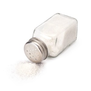 Salzstreuer mit Speisesalz als Munition für BUG A SALT 3.0 Schädlingsbekämpfung.