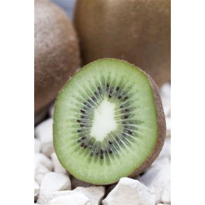 Halbierte Kiwi (Actinidia Chinensis) mit grünem Fruchtfleisch und schwarzen Kernen auf weißen Steinen.