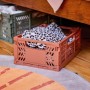 3er-Set Klappboxen "Safari Adventure" in Grün, Rot und Ocker zur Aufbewahrung im Kinderzimmer.