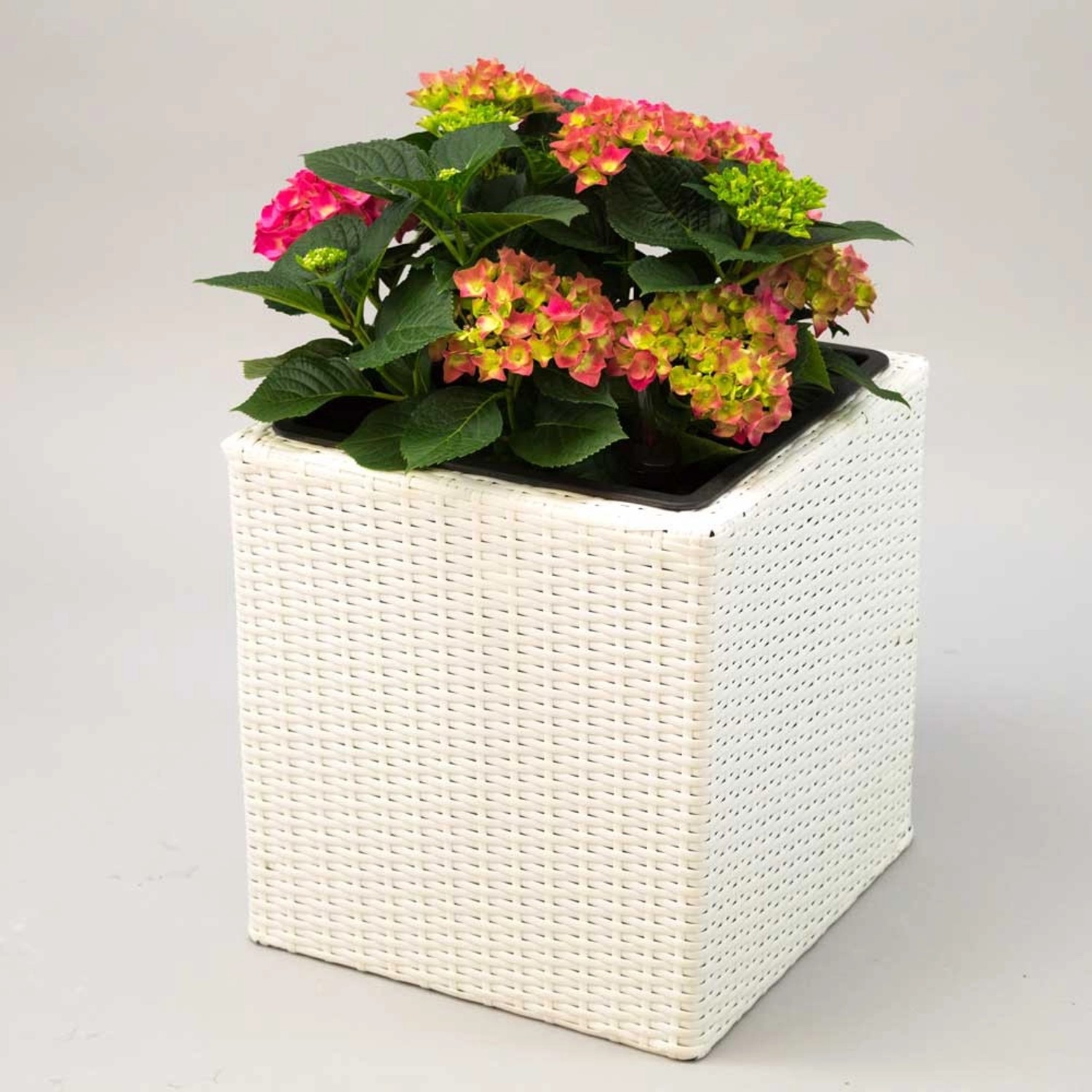 Elegant Einrichten Pflanzkübel Polyrattan Quadratisch 30x30x30cm Weiß günstig online kaufen