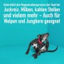 Hund kratzt sich: GreenHero Haustierpflege bei Juckreiz und Milben. Pflanzenstärkungsmittel für gesunde Haut.