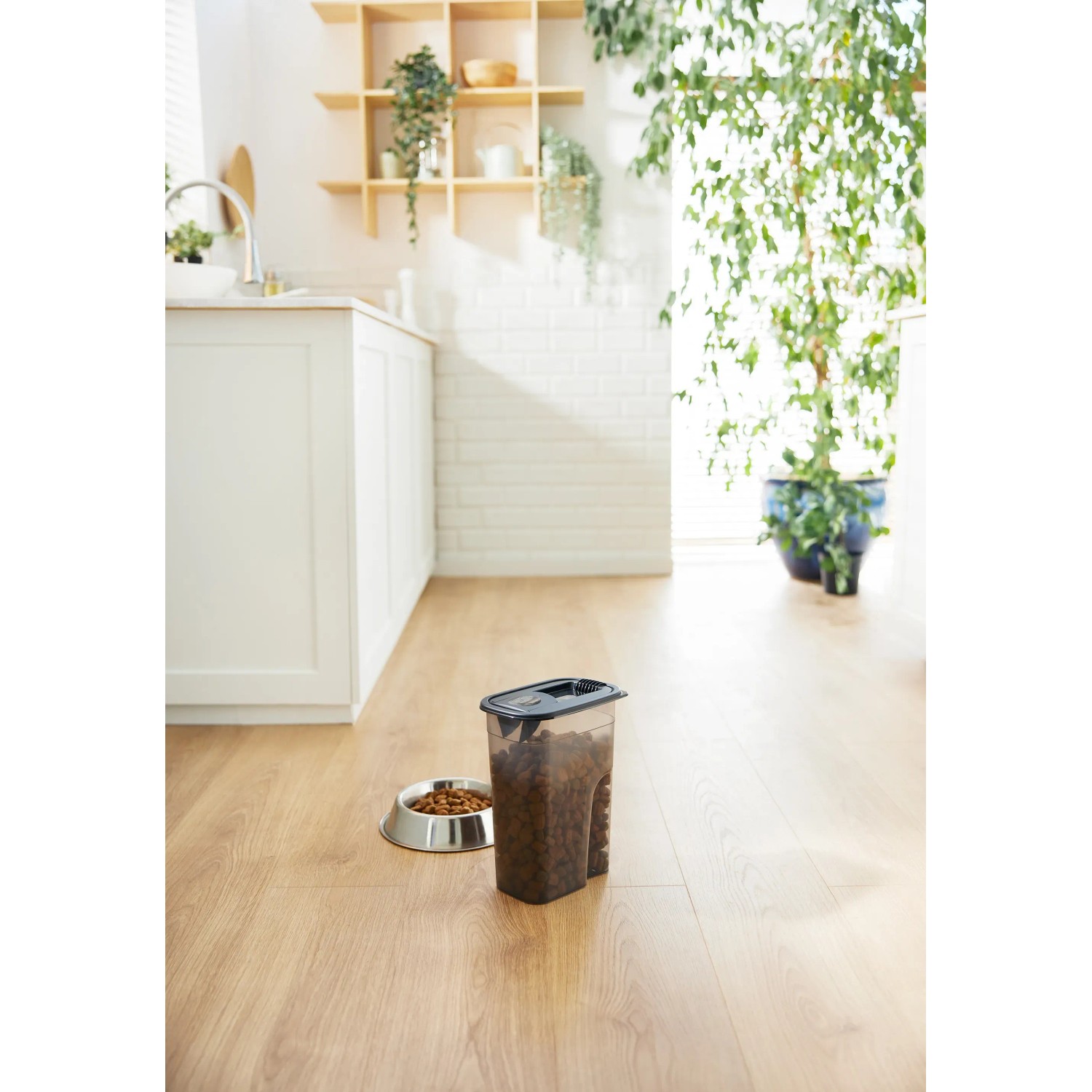Rotho Tierfutter Schüttdose Flo 4,1, Transparent/Grau