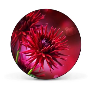 Runde, schwarze Magnettafel mit roten Dahlien als Wanddekoration.