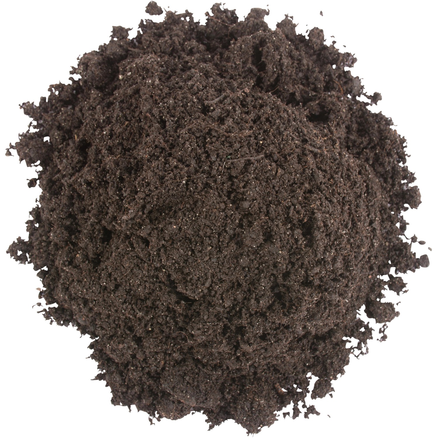 Compo Sana Compact QualitätsBlumenerde 1 x 25 l kaufen bei OBI