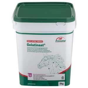 PrimeVal Gelatinaat für Pferde, 5 kg Eimer, Ergänzungsfuttermittel für den Bewegungsapparat.