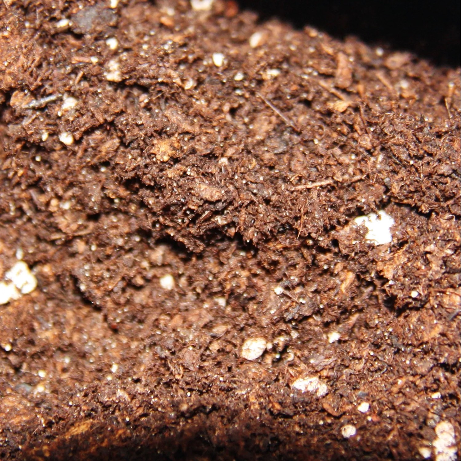 Nahaufnahme: Erde für fleischfressende Pflanzen, spezielle Blumenerde mit Torf, Rinde, Perlite und Quarzsand.