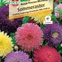 Sperli Sommeraster Riesen-Prinzess-Mischung Blumensamen in verschiedenen Farben.