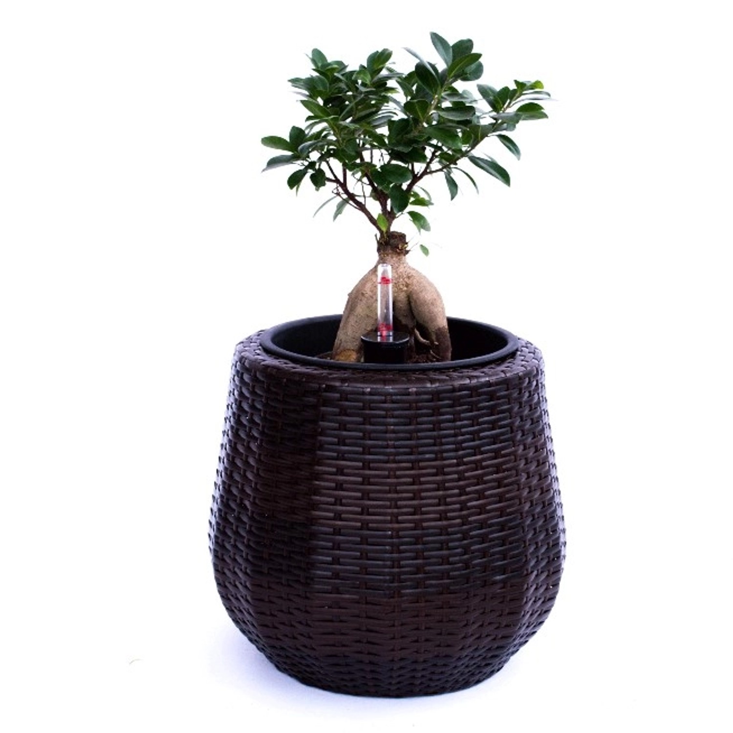 Elegant Einrichten Pflanzkübel Polyrattan Rund-Konisch D35xH32cm Coffee-Bra günstig online kaufen