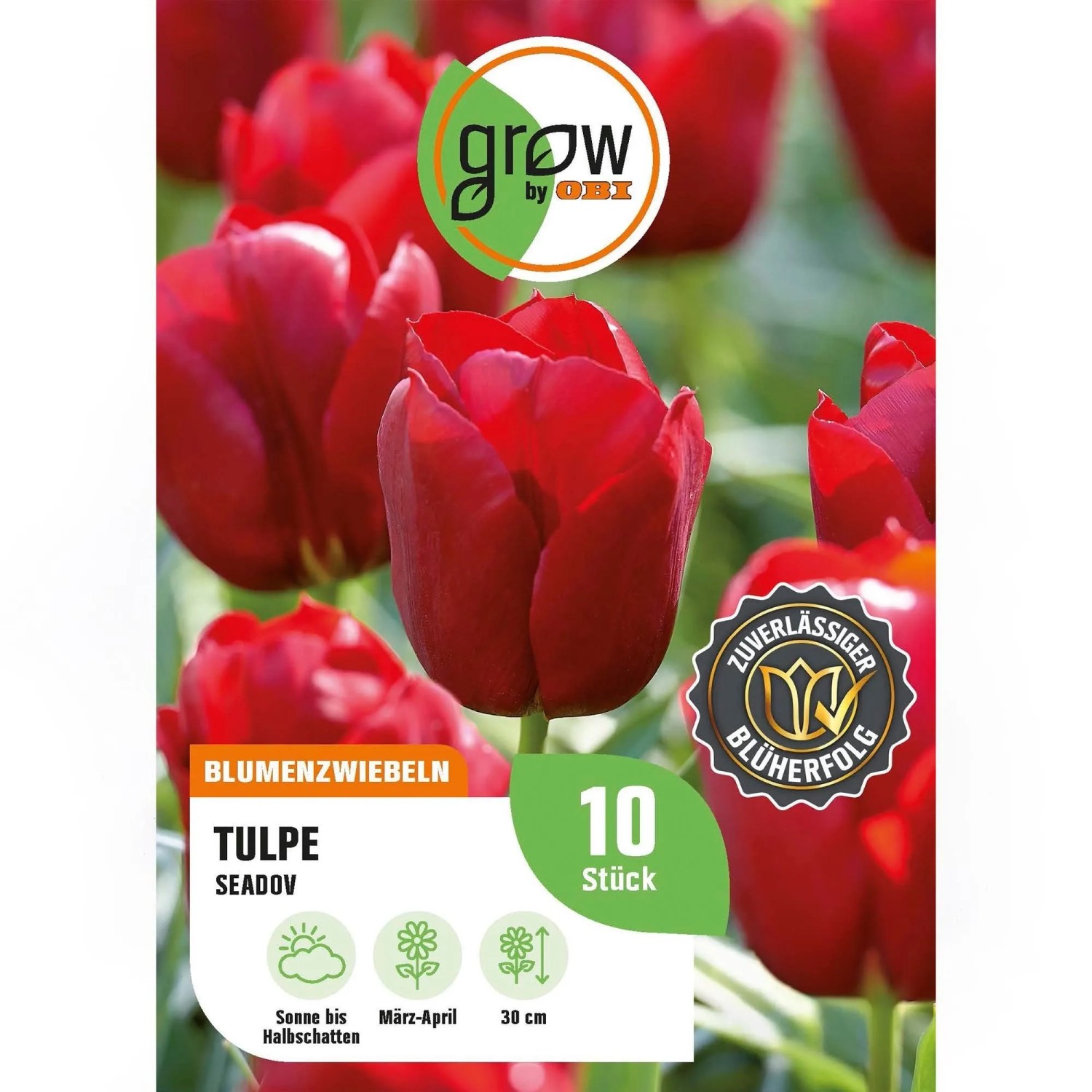 GROW by OBI Tulpe Seadov Rot 8 Stück Tulipa triumph Seadov