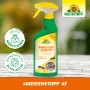 Neudorff Ameisenstopp AF, 500ml Spray zur Ameisenbekämpfung ohne Insektizide.