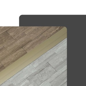 Champagnerfarbenes Dalsys Übergangsprofil aus Aluminium, 90x40mm, verbindet Laminat, Vinyl, Parkett nahtlos. Für saubere Bodenübergänge.