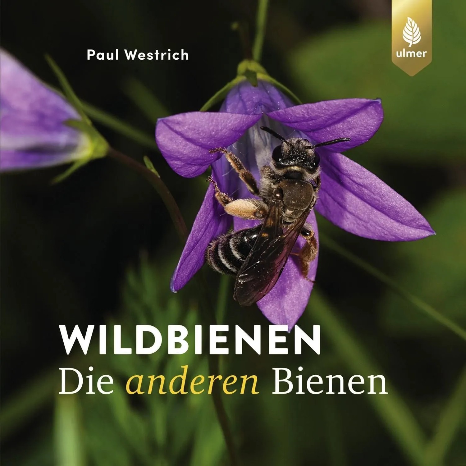 Image of Wildbienen die anderen Bienen