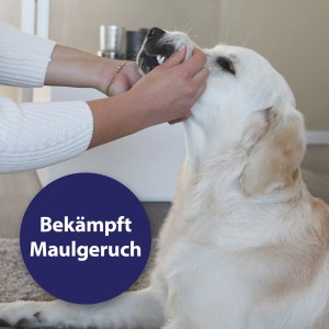 Anwendung des Canosept Zahnpflege Sprays zur Maulhygiene bei einem hellen Hund.