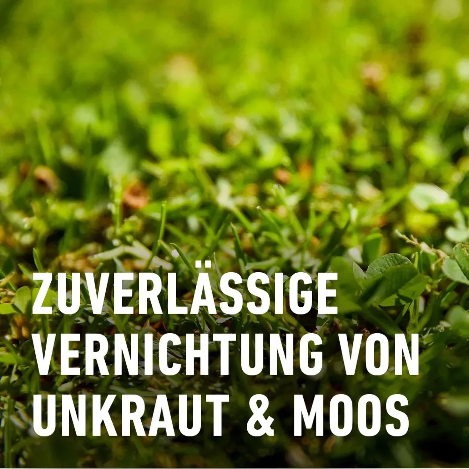 Compo Rasendnger mit Unkrautvernichter 4in1 3 kg 100 m kaufen bei OBI