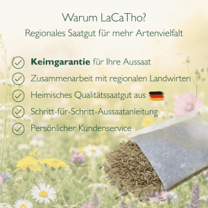 LaCaTho Schafgarbe Samen: Papiertüte mit Blumensamen auf Wiese. Regionales Saatgut für Artenvielfalt.