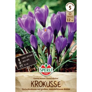 Sperli Gartenkrokus Grand Maitre mit lavendelblauen Blüten, geeignet für Beet und Kübel.