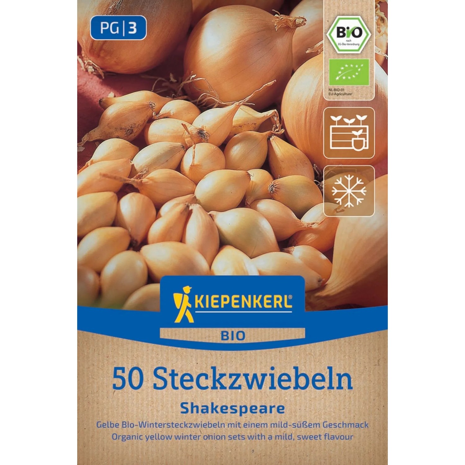 Kiepenkerl Steckzwiebeln BIO Wintersteckzwiebel Shakespeare 50 Stück