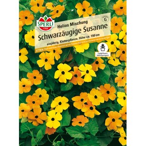 Sperli Schwarzäugige Susanne Helios Mischung mit gelben und orangen Blüten.