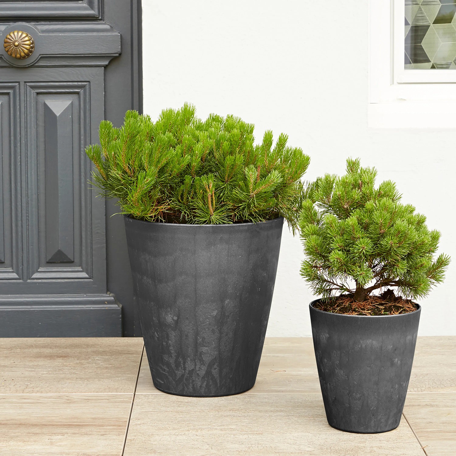 Potic Pflanztopf 24 x 26 cm Schiefer kaufen bei OBI