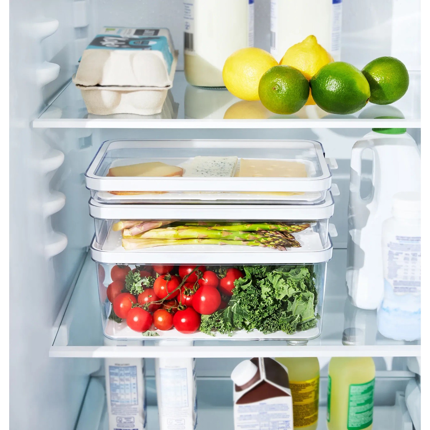 Rotho Cauma Kühlschrank-Organizer Set, 3-teilig, transparent, für optimale Ordnung im Kühlschrank.