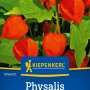 Kiepenkerl Physalis Lampionblume mit orangefarbenen Lampions und grünen Blättern.