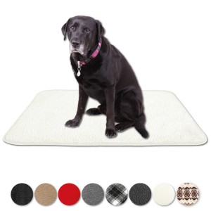 Bestlivings Tierdecke Lammflor creme, 90x140cm. Hund sitzt auf der Decke.