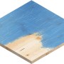 Bosch Expert Schleifblatt C470, Ø 150mm, K40, 5 Stk., auf angeschliffenem, blau lackiertem Holz.