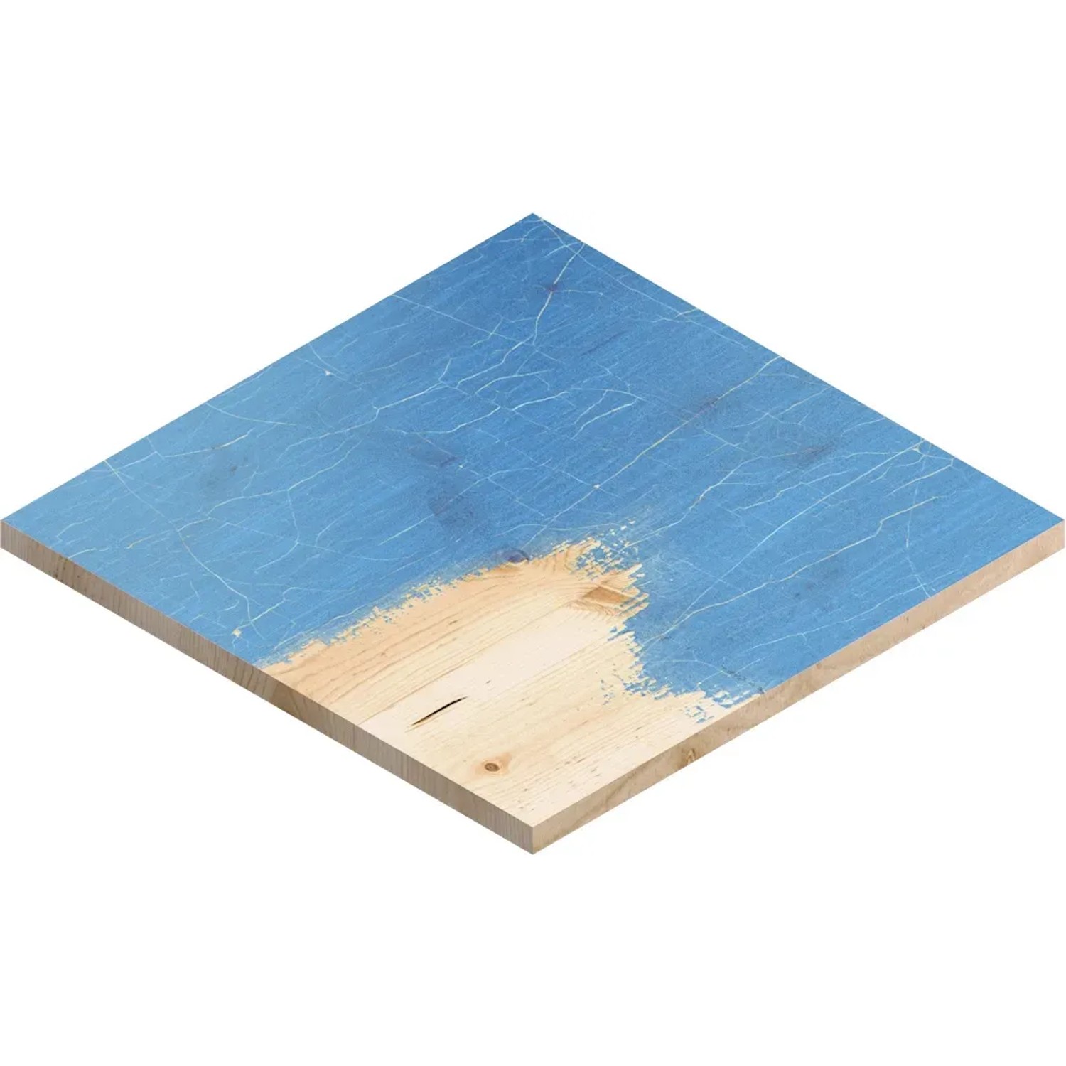 Bosch Expert Schleifblatt C470, Ø 150mm, K40, 5 Stk., auf angeschliffenem, blau lackiertem Holz.