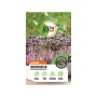 GROW by OBI Keimsprossen Radieschen Daikon Rot, Microgreen Saatgut im Detail.