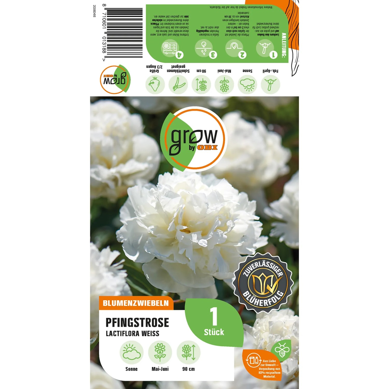 Verpackung der GROW by OBI Pfingstrose Lactiflora Weiss, zeigt üppige, weiße Blüten.