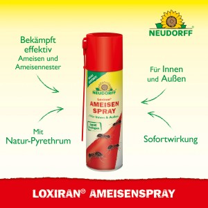 Neudorff Loxiran Ameisen-Spray 200ml zur Ameisenbekämpfung im Haus und Garten.