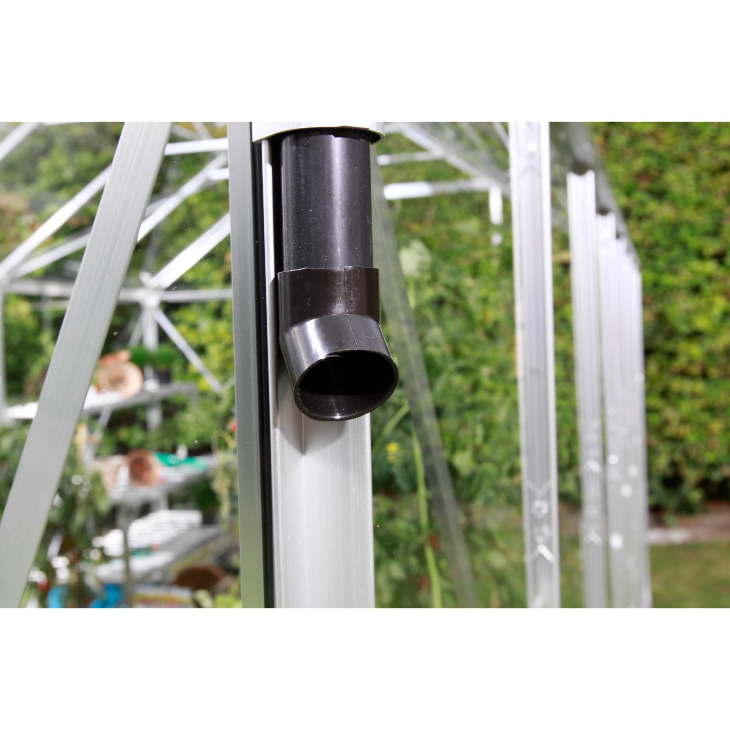 Detailaufnahme: Schwarzes Regenfallrohr am Vitavia Gewächshaus Calypso 3000 HKP.