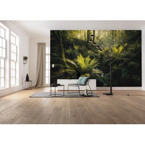 Vlies Fototapete Fjordland Woods im Wohnraum, Waldmotiv mit Farnen.