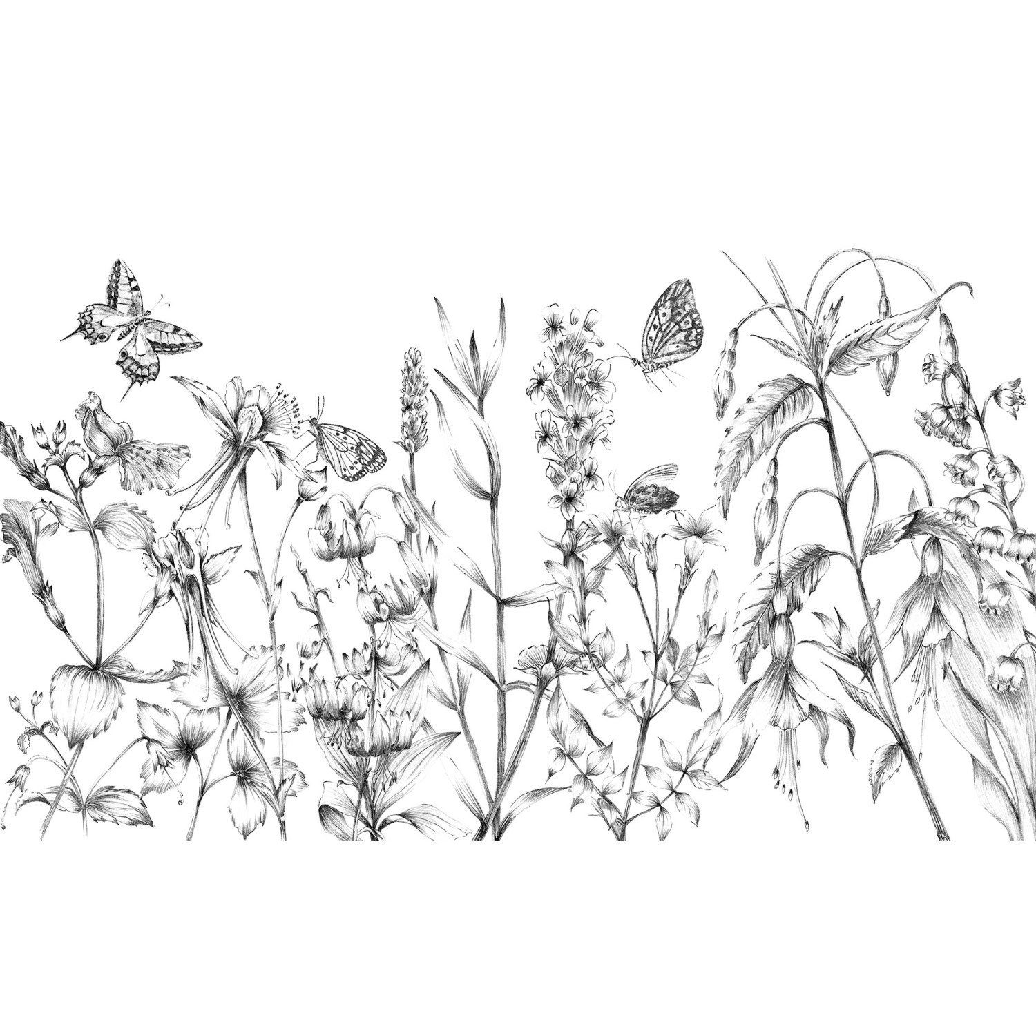 Komar Fototapete Butterfly Field Blumen B/L: ca. 400x250 cm günstig online kaufen