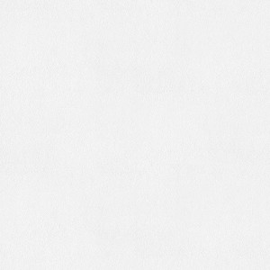 Weiße, überstreichbare Vliestapete mit Lederstruktur von Bricoflor.