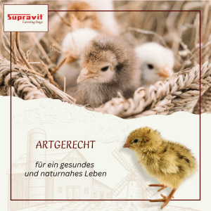 Supravit Kükengrütze Aufzuchtfutter für Hühner