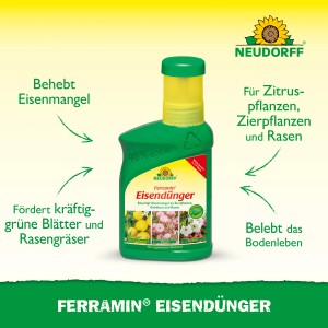 Neudorff Ferramin Eisendünger 250ml Flasche für grüne Blätter und gesunde Pflanzen.