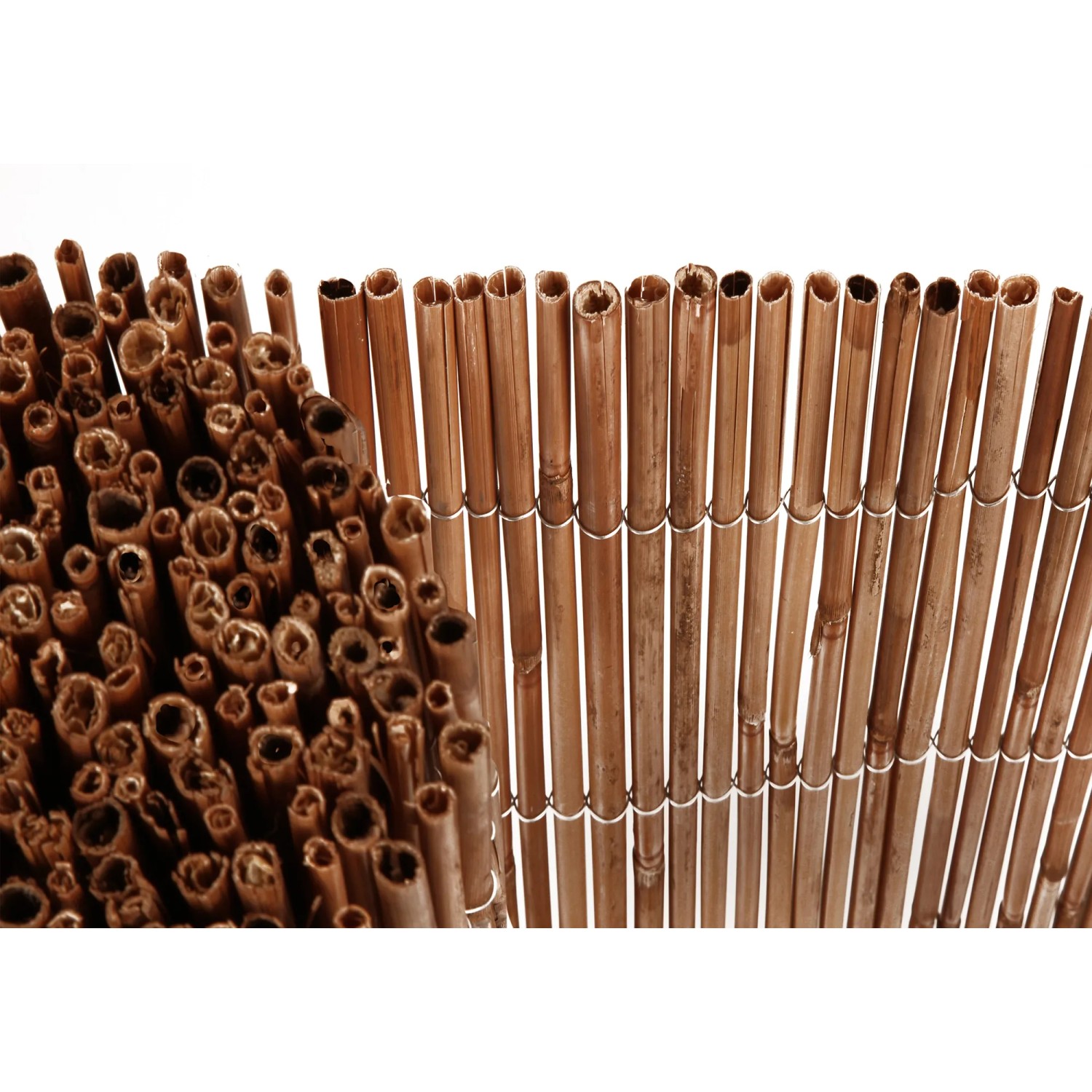 Floraworld Schilfrohr Sichtschutz Premium, 180x300cm, naturbelassene Optik, ideal für Garten und Balkon.