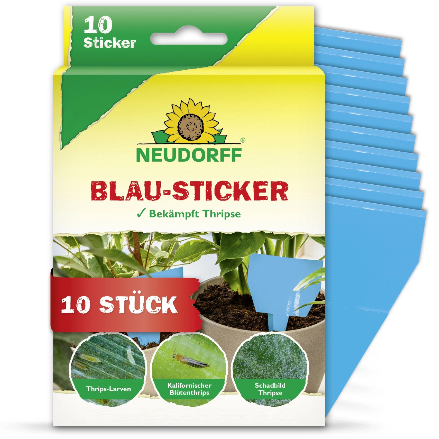 Neudorff Blau-Sticker Insektenfalle, 10 Stück. Zur Thripse-Bekämpfung im Innenbereich.